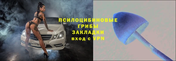 стаф Беломорск