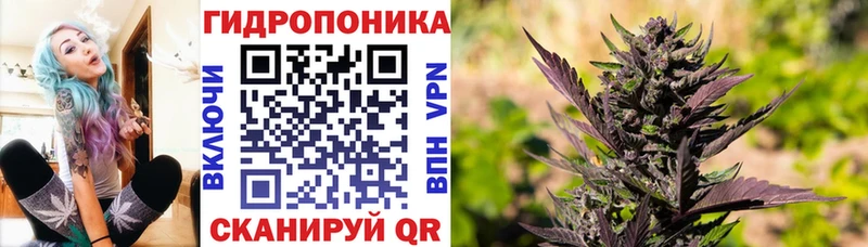 Конопля конопля  Бутурлиновка 